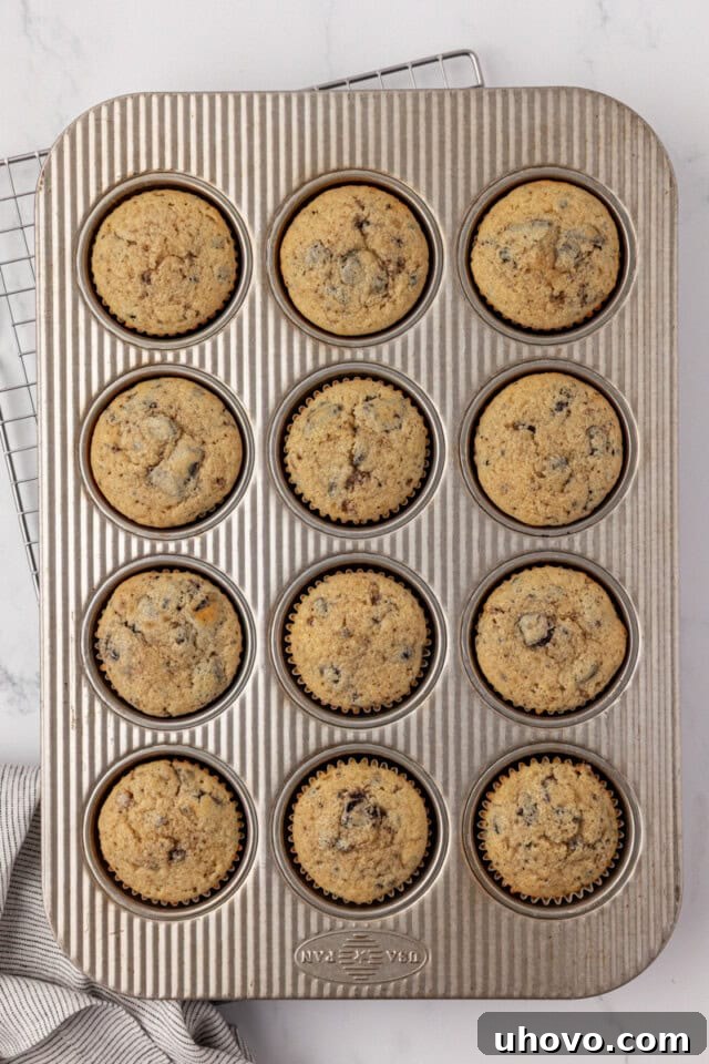 overhead view of freshly baked cookies and cream cupcakes in a muffin pan