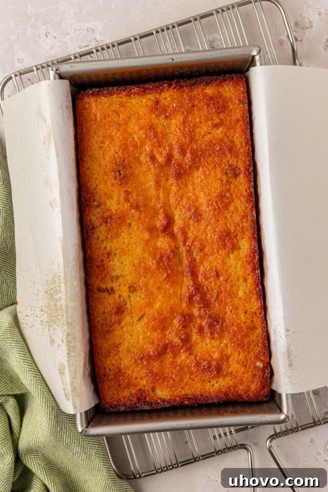 Freshly baked coconut lime loaf cake in a loaf pan