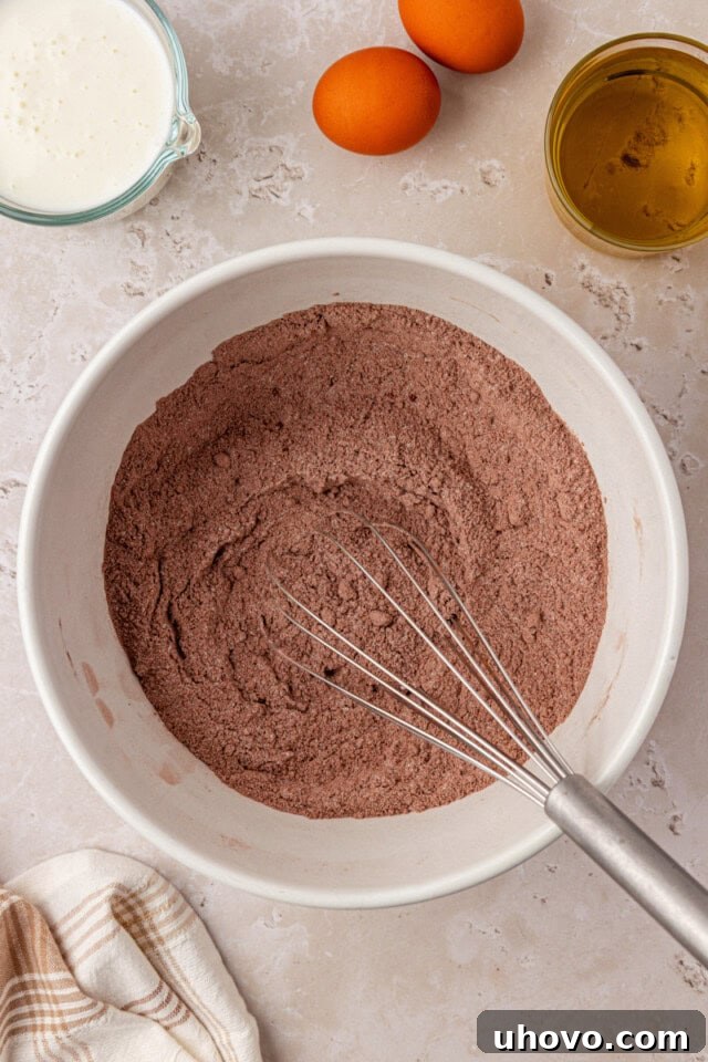 An overhead view of flour, cocoa, granulated sugar, brown sugar, baking soda, baking powder, and salt combined in a mixing bowl, ready to be whisked.