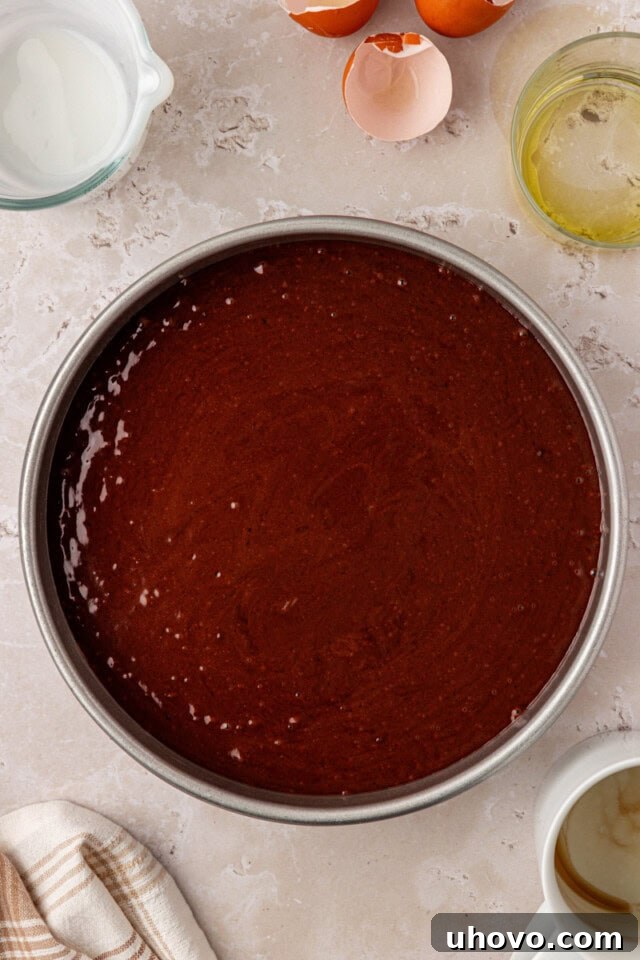 An overhead view of chocolate olive oil cake batter poured into a round cake pan, ready to be placed in the oven for baking.
