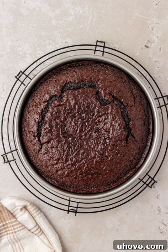An overhead view of a freshly baked chocolate olive oil cake, golden and slightly domed, cooling in its cake pan on a wire rack.