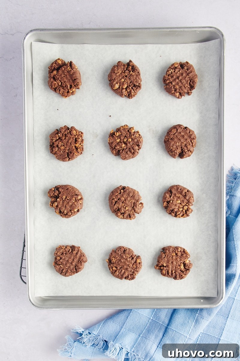 Golden-brown chocolate peanut butter granola cookies baked on a parchment-lined baking sheet, fresh from the oven.