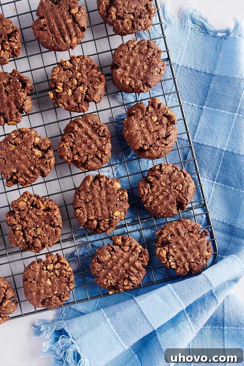 Baked chocolate peanut butter granola cookies cooling on a wire rack, allowing air circulation for a perfectly crisp finish.