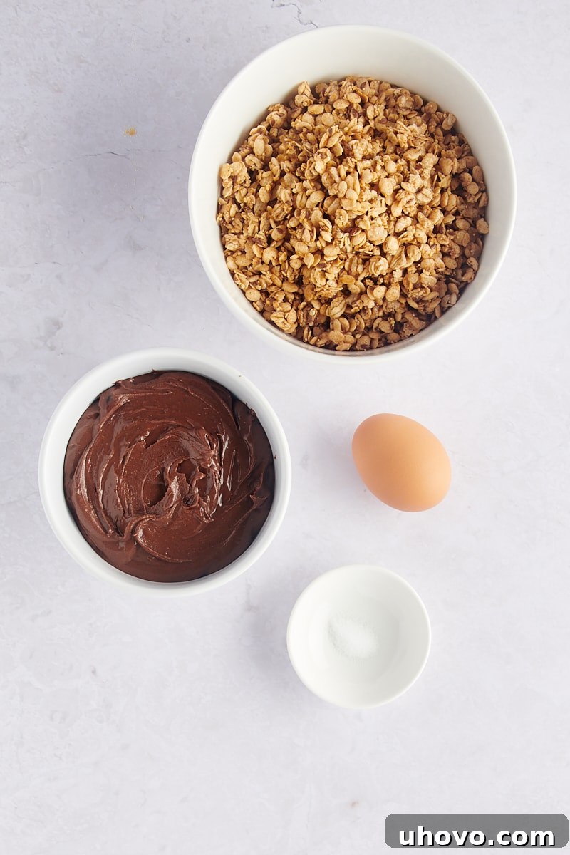 Overhead shot of four simple ingredients: a jar of chocolate peanut butter, a bowl of granola, an egg, and a salt shaker, ready for baking.