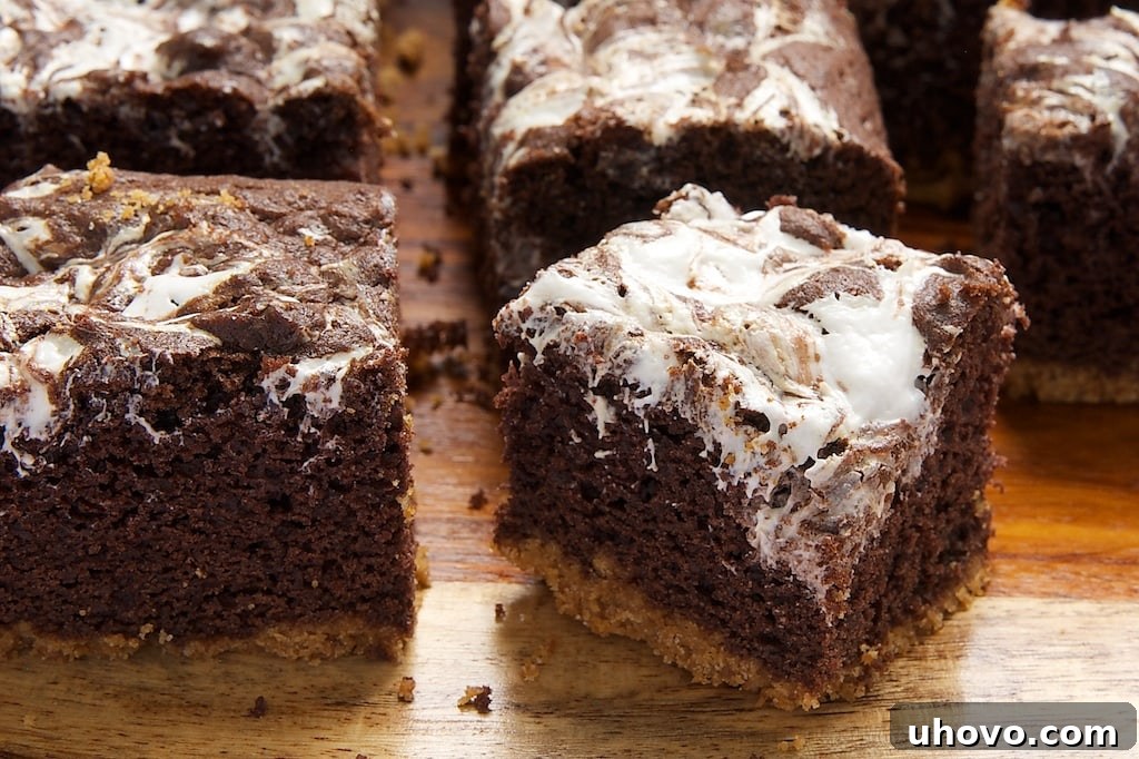 Close-up of baked S'mores Swirl Brownies showcasing the distinct layers and gooey marshmallow.