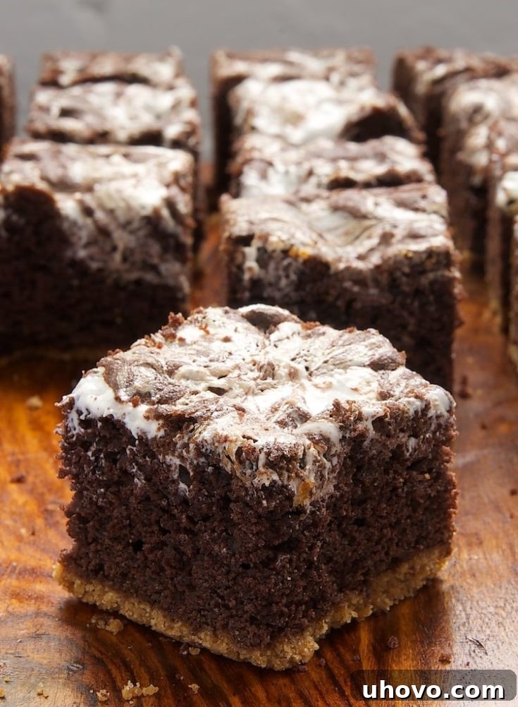 S'mores Swirl Brownies