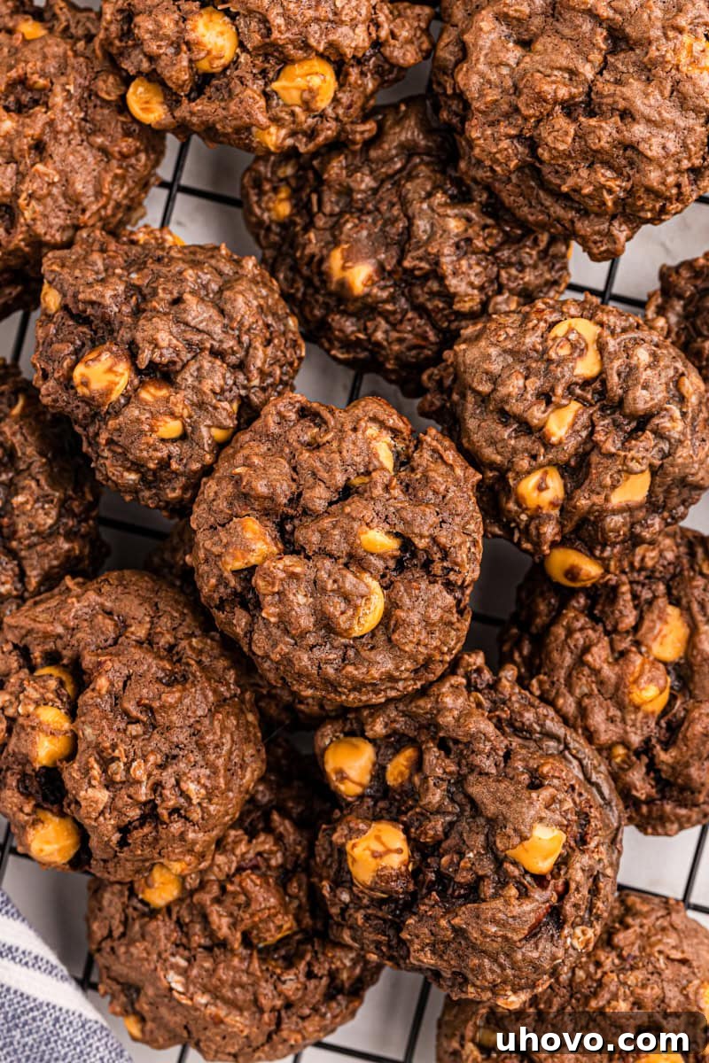 Overhead view of several chocolate butterscotch cookies arranged neatly on a wire cooling rack, showing their appealing texture.