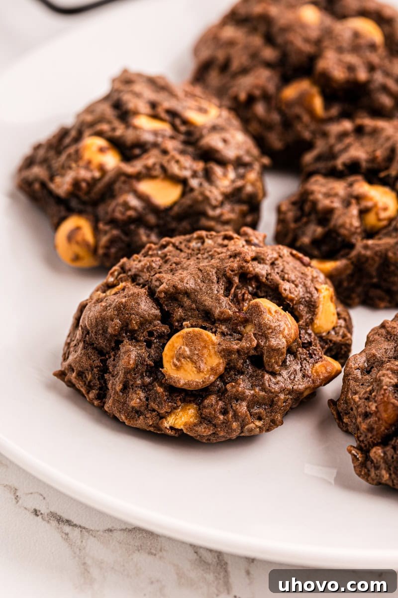 Closeup of a plate of chewy chocolate butterscotch cookies, showcasing their rich color and texture, ready to be enjoyed.
