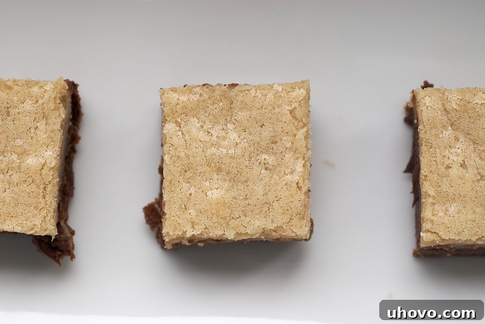 Close-up view of Black Bottom Cookie Bars, highlighting the rich chocolate bottom layer and the smooth, light vanilla top layer.