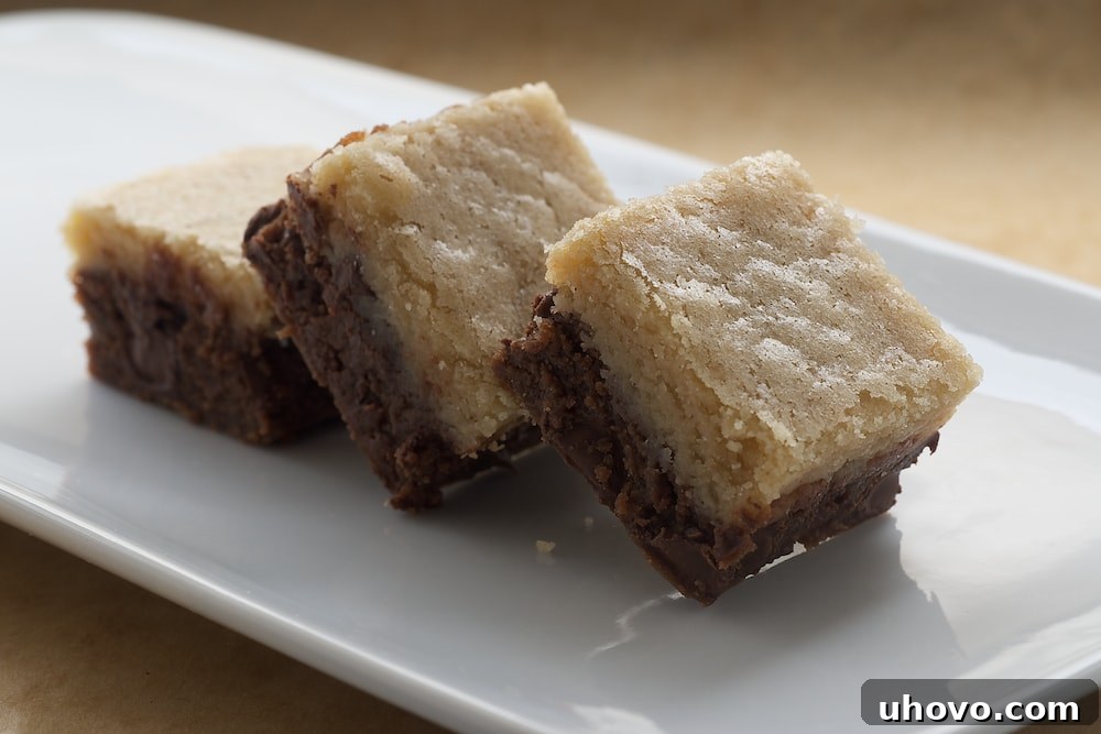 A perfectly sliced Black Bottom Cookie Bar, showcasing the distinct layers of rich chocolate and creamy vanilla. Ready to be enjoyed.