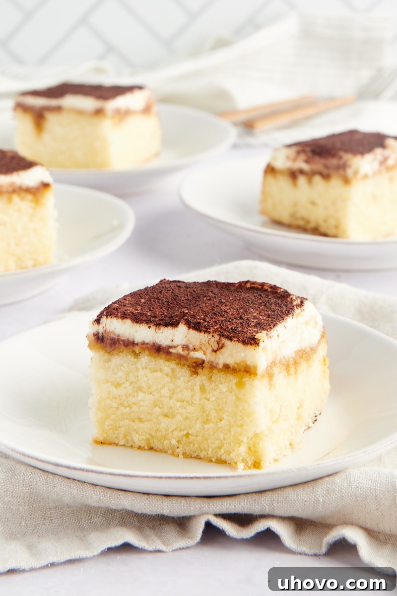 Square of tiramisu cake on a plate, topped with cocoa powder.