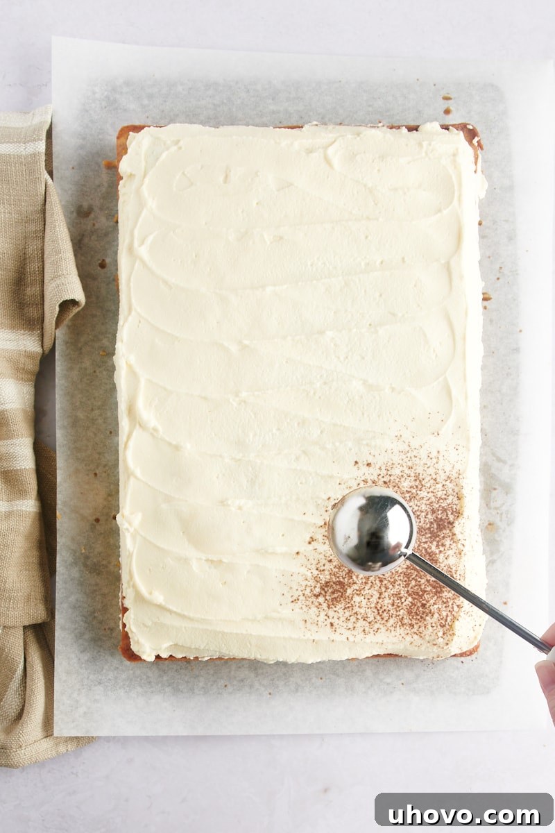 Overhead view of unsweetened cocoa powder being dusted onto the frosted Tiramisu Cake.