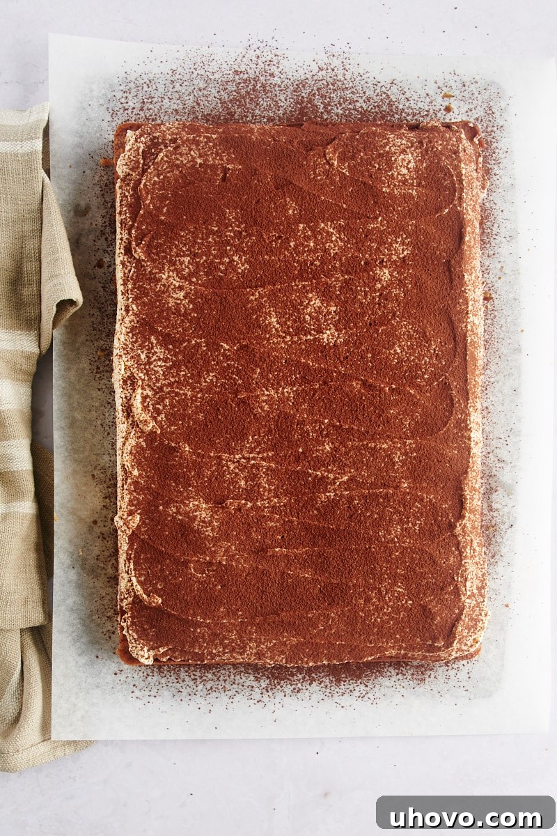 Overhead view of a beautifully frosted and cocoa-dusted whole tiramisu cake.