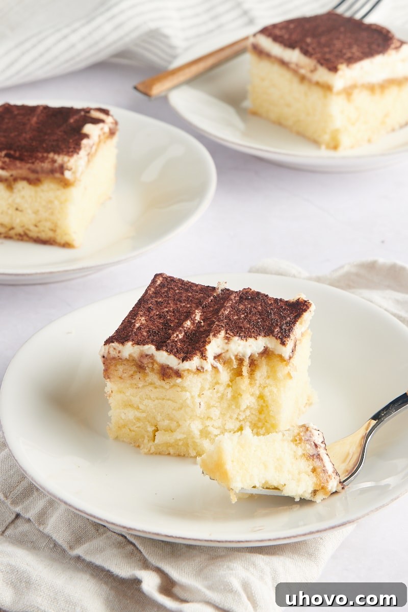 Slices of tiramisu cake on plates; one has a forkful of cake set on the plate, inviting a taste.