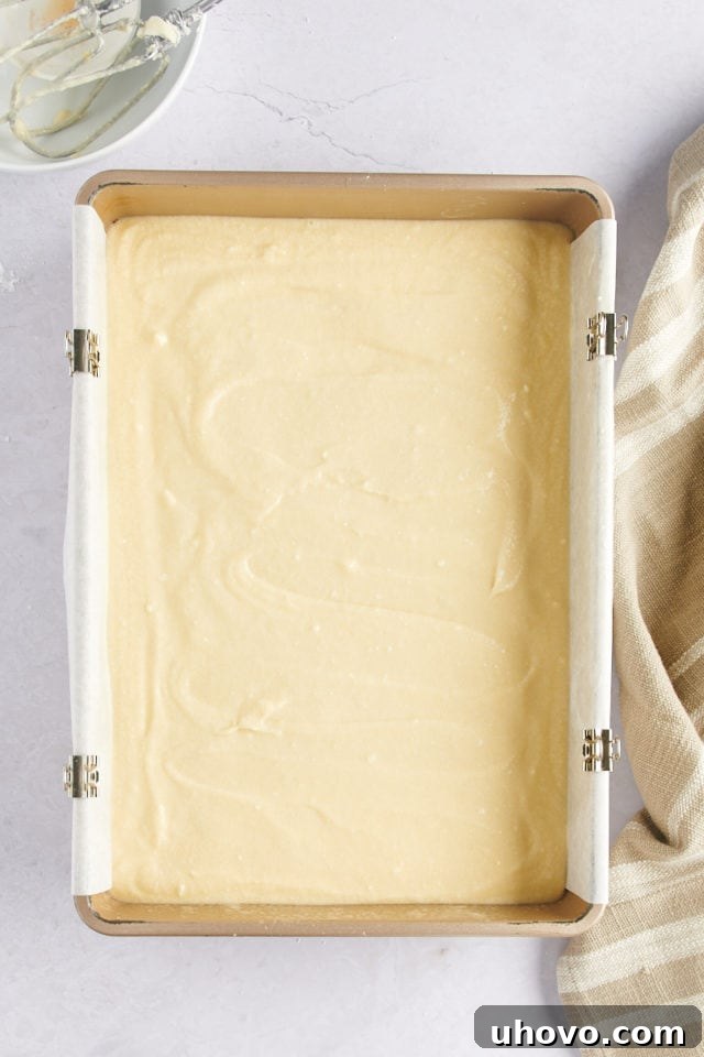 Overhead view of smooth cake batter spread evenly in a prepared baking pan.