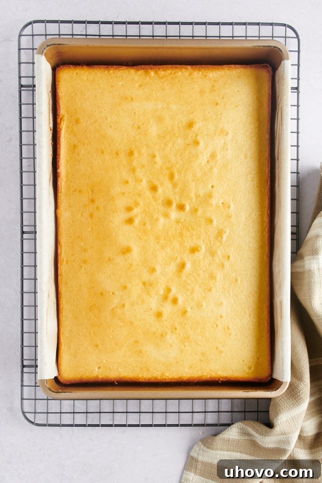 Overhead view of a perfectly baked golden-brown vanilla cake in a pan.