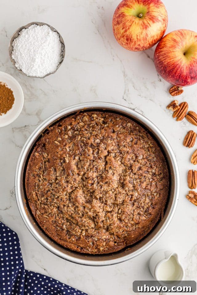 Overhead view of the baked golden-brown apple streusel coffee cake in its pan, fresh out of the oven