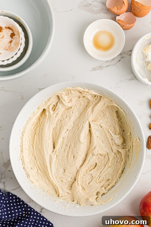 Overhead view of fully mixed coffee cake batter in a large mixing bowl, ready for assembly