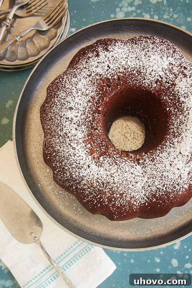 overhead view of Buttermilk Mexican Chocolate Pound Cake dusted with confectioners' sugar