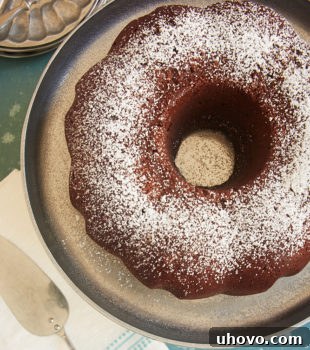 overhead view of Buttermilk Mexican Chocolate Pound Cake dusted with confectioners' sugar