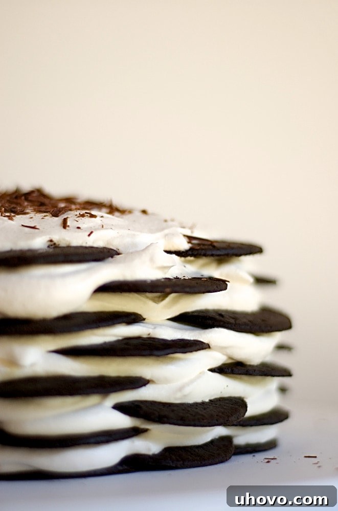 Delicious and Easy Chocolate Wafer Icebox Cake
