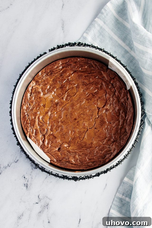 Overhead view of brownie cake cooling on rack