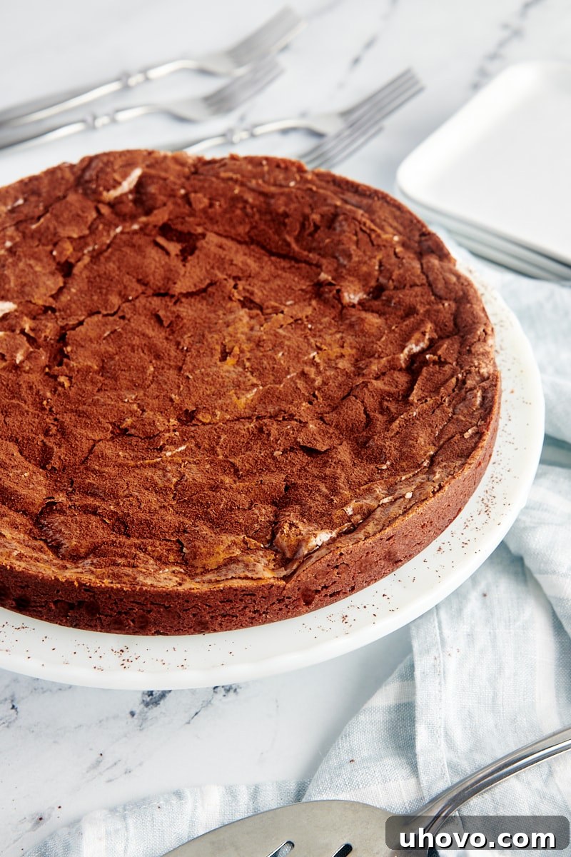 Whole brownie cake on cake stand