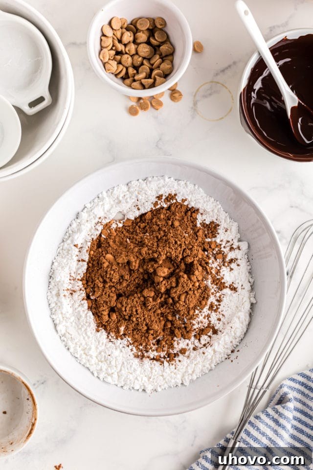 confectioners' sugar and cocoa powder in a white mixing bowl