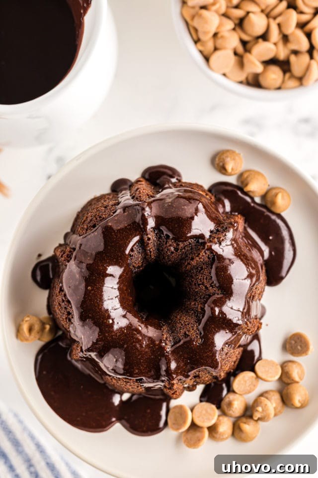 overhead view of a Mini Chocolate Bundt Cake topped with chocolate glaze and peanut butter chips