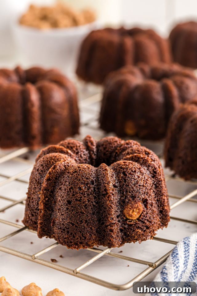 Mini Chocolate Bundt Cakes on a wire rack