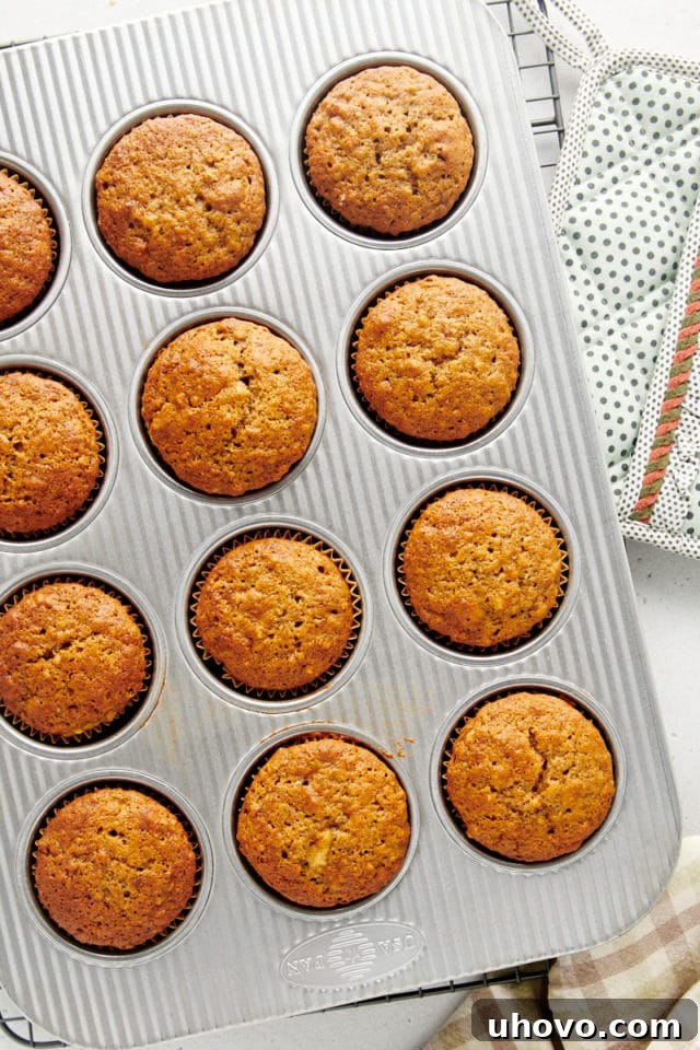 Overhead view of a freshly baked batch of banana nut muffins, golden-brown and domed, cooling in their muffin pan.