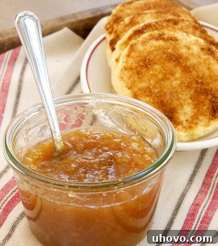 A charming image of a jar of homemade Apple-Pear Butter, ready to be enjoyed or given as a gift. The smooth texture and rich color are enticing.