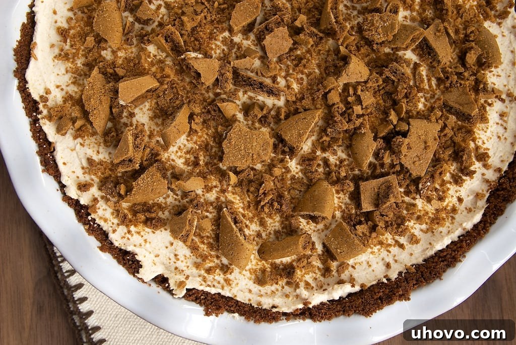 Apple-Pear Butter Pie with Gingersnap Crust is a cool, creamy pie full of delicious fall flavors! - Bake or Break