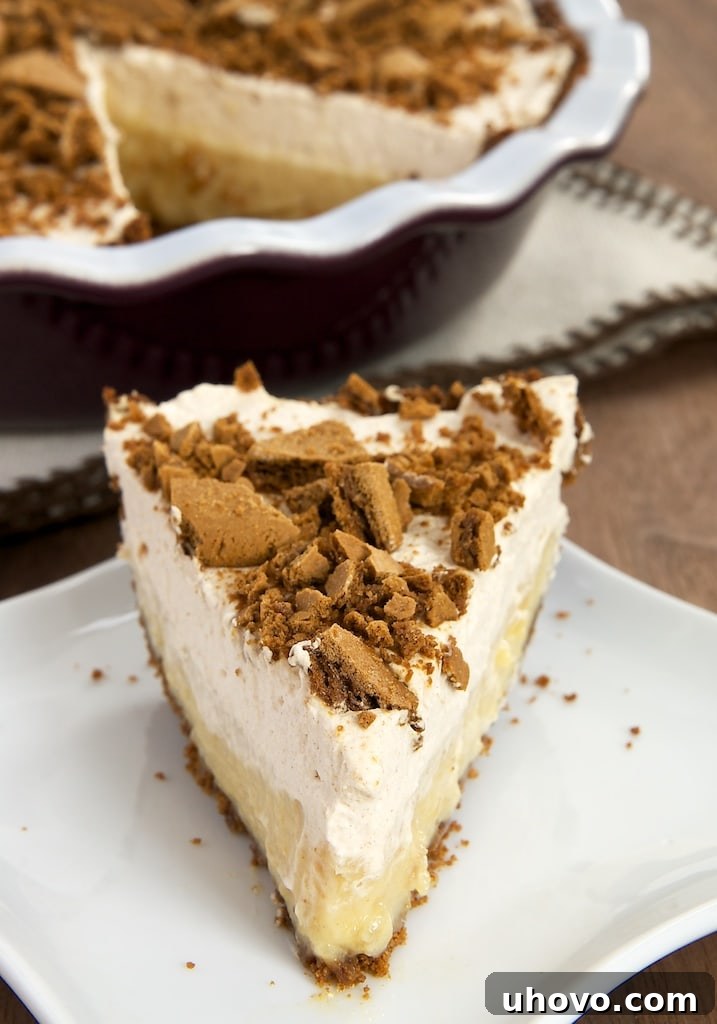 Apple-Pear Butter Pie with Gingersnap Crust