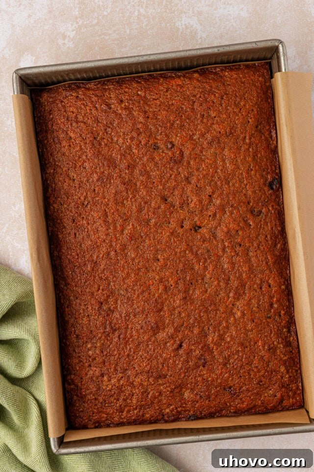 A freshly baked carrot sheet cake, still warm and fragrant, resting in a parchment-lined baking pan, cooling completely before frosting.