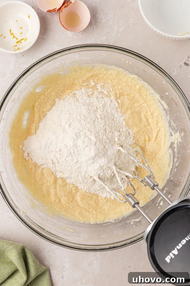 dry ingredients added to wet ingredients for ricotta cookies