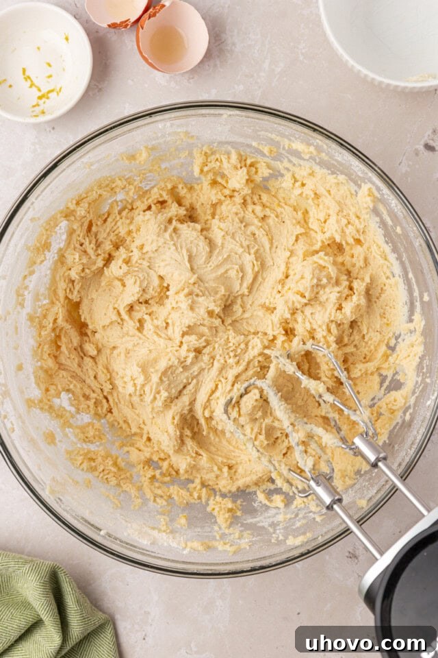 ricotta cookie dough in a mixing bowl