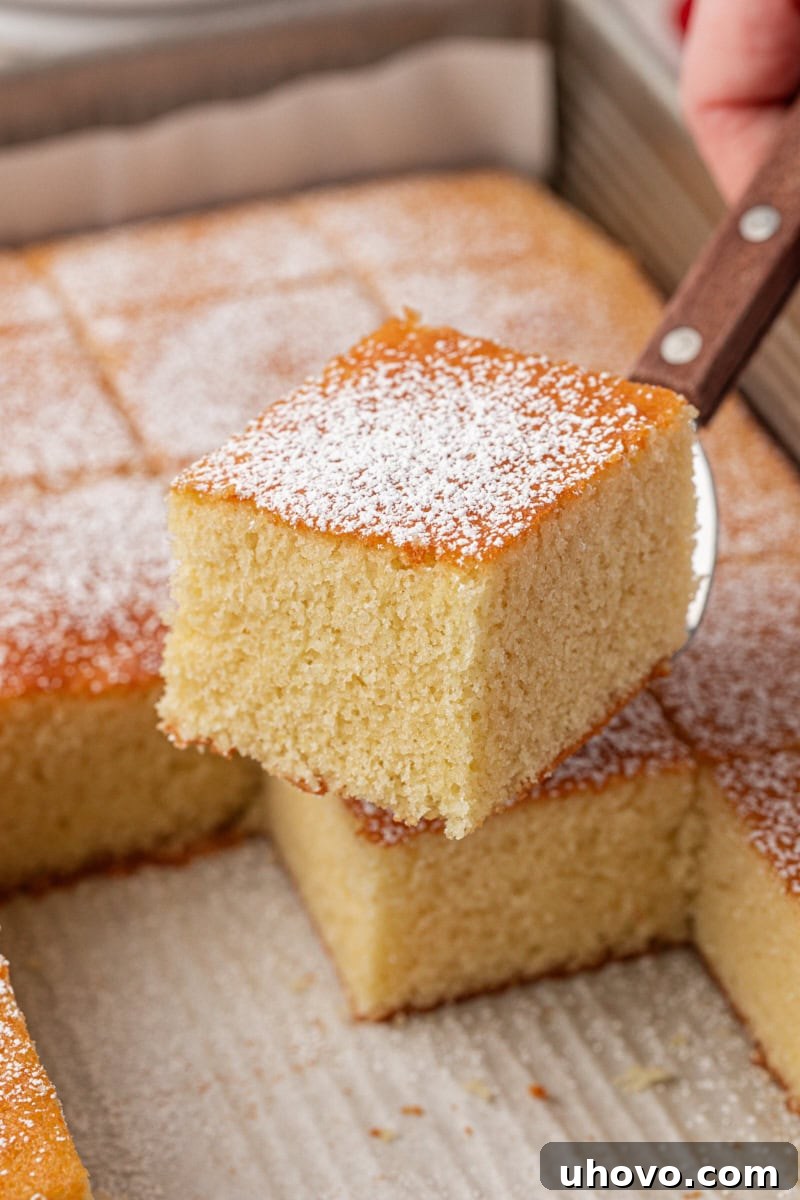 A pristine slice of hot milk cake, showcasing its delicate, airy crumb and simple elegance, gracefully positioned on a cake server.