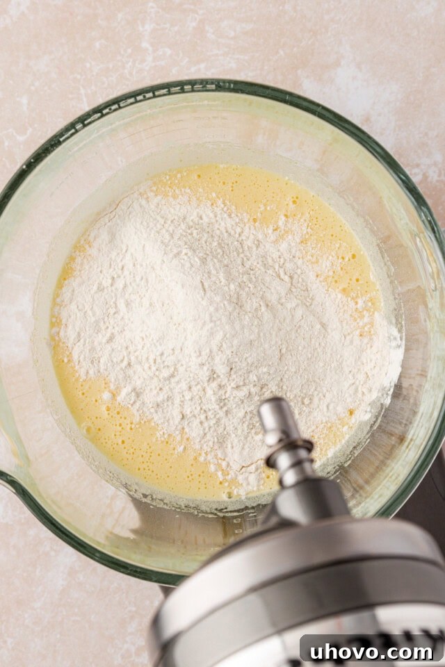 An overhead view showing the precise moment dry ingredients, a mixture of flour, baking powder, and salt, are gently folded into the aerated egg and sugar base.