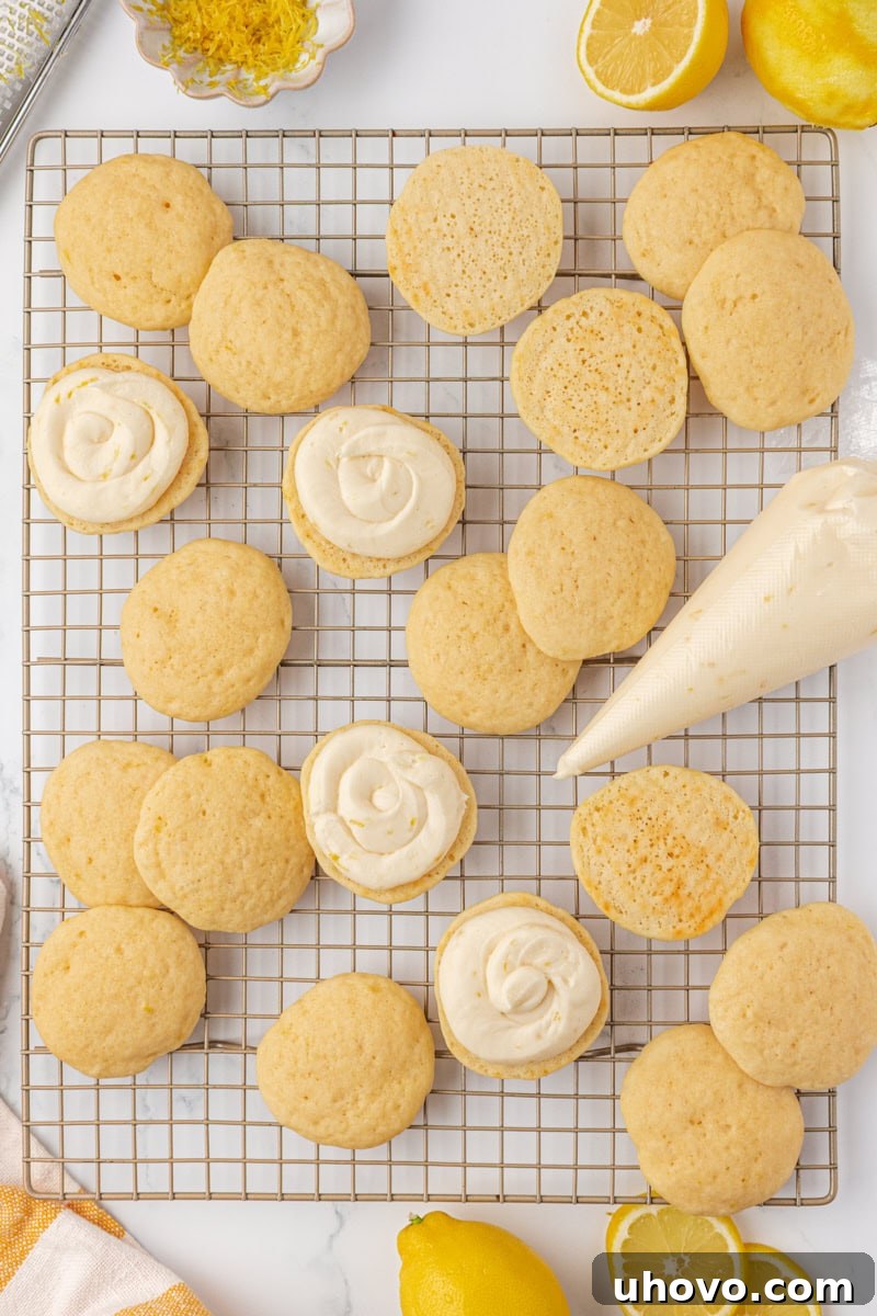 Creamy lemon cream cheese filling being piped neatly onto the flat side of a soft lemon cookie, ready for sandwiching.