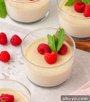 servings of vanilla panna cotta topped with fresh raspberries and mint leaves
