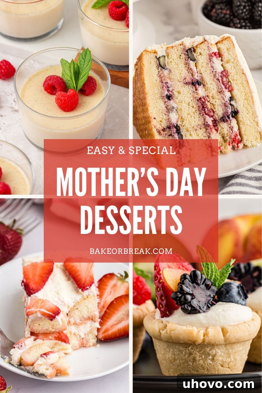 collage of dessert images, including vanilla panna cotta, chantilly cake, strawberry tiramisu, and mini fruit tarts; text overlay 