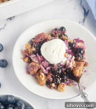 blueberry crisp on a white plate with ice cream