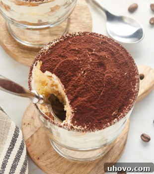 tiramisu for two with a spoon