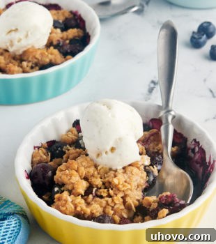 two small dishes of blueberry crumble with ice cream