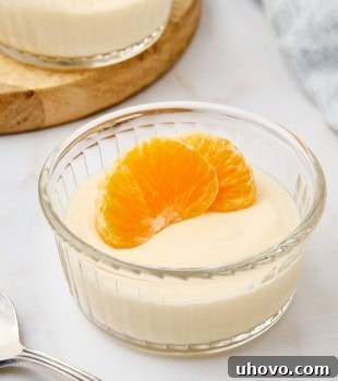 ricotta mousse topped with mandarin slices in a glass