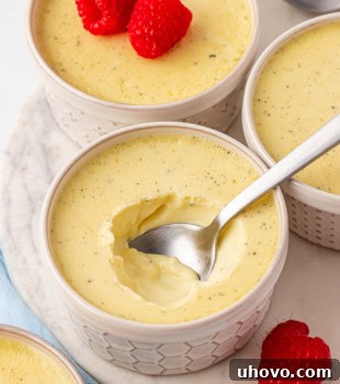 vanilla bean pots de crème with raspberries