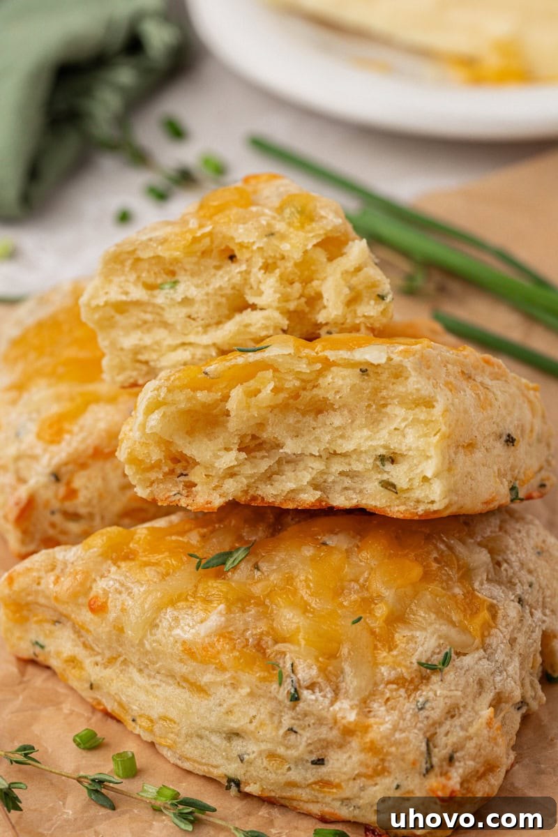 an herb and cheese scone torn in half to show the flaky texture