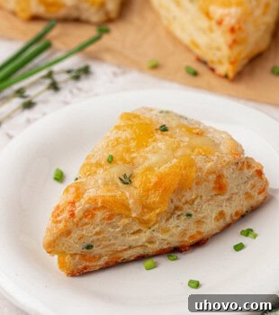 a buttery scone filled with fresh herbs and cheese served on a white plate