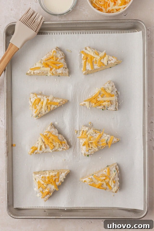 overhead view of herbed scones brushed with cream and topped with shredded cheese on a baking pan ready to go into the oven